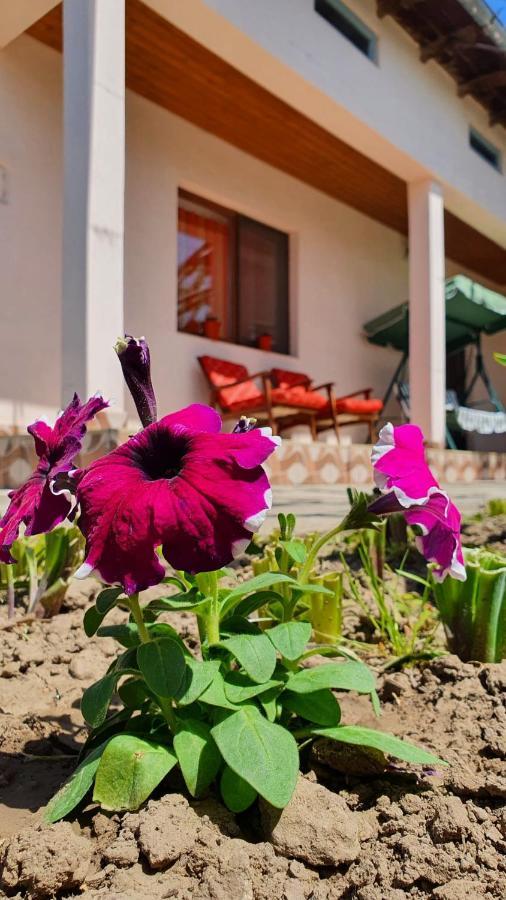 Hébergement de vacances Casa Caraua *