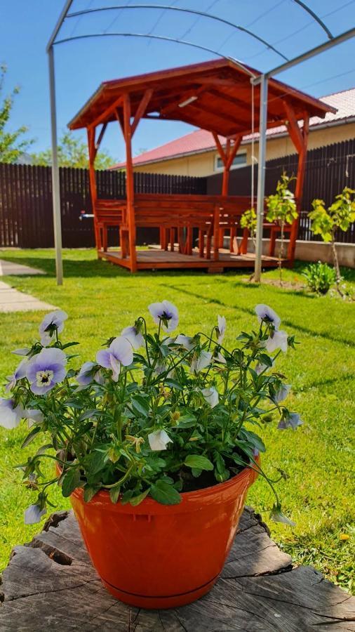 Hébergement de vacances Casa Caraua *