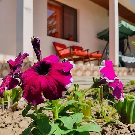 Villa Casa Caraua à Greci Extérieur photo