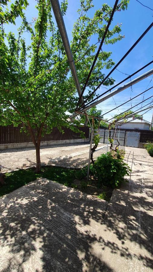 Holiday home Casa Caraua